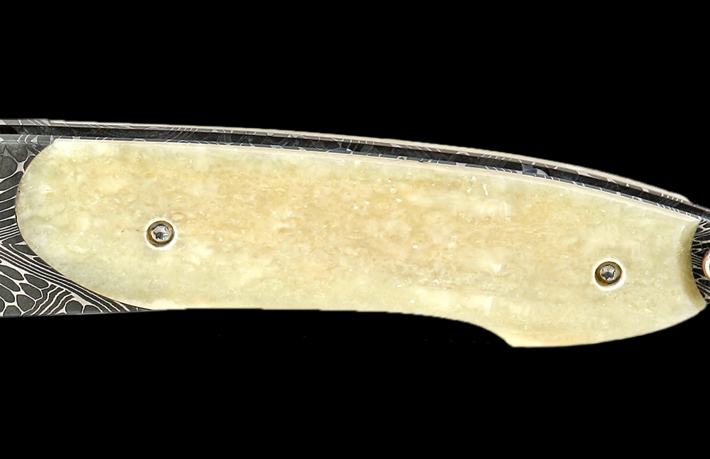 William Henry Limited Edition B10 Bern Knife