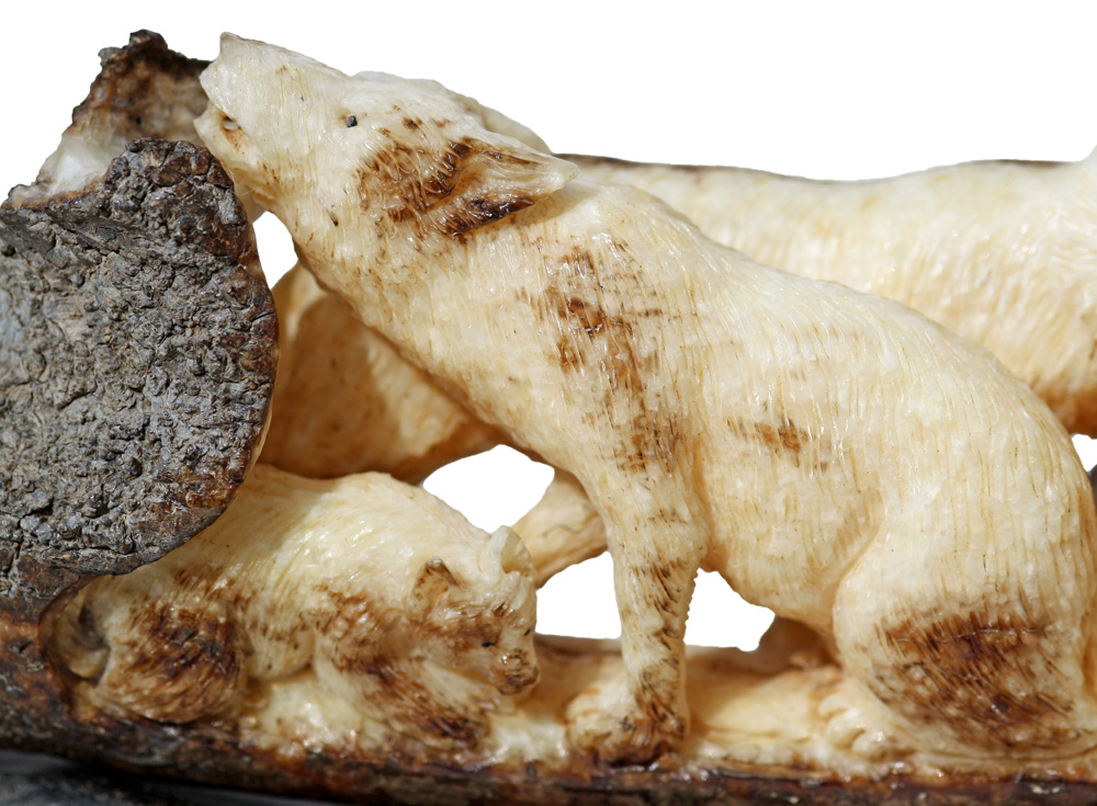 Wolf Pack Ivory Carving Scrimshaw Collector