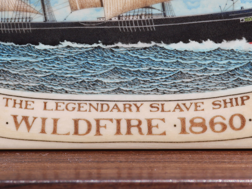 Joel Cowan - The Legdendary Slave Ship: Wildfire 1860