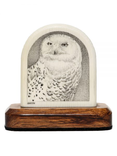 David Smith Scrimshaw - Snowy Owl