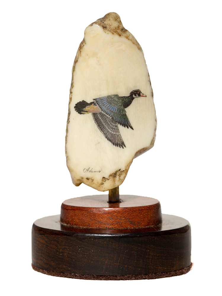 David Adams Scrimshaw - Soaring Woodduck