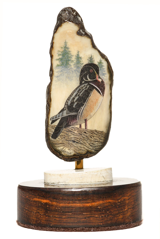 David Adams Scrimshaw - Woodduck Misty Morning