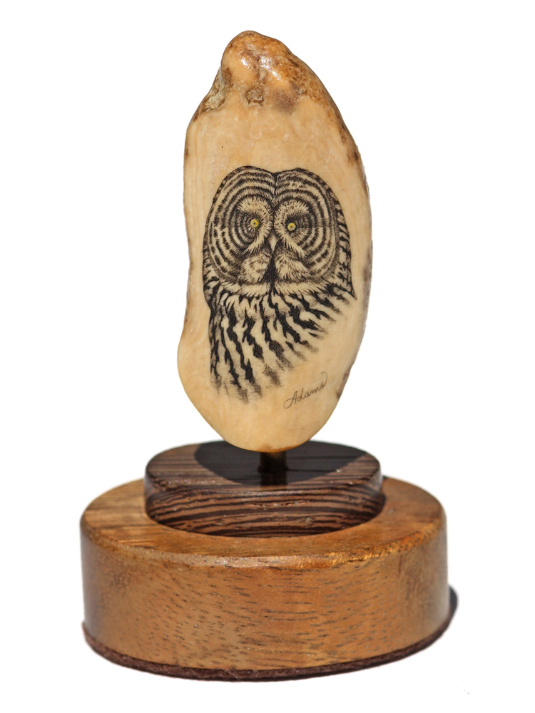 David Adams Scrimshaw - Great Grey Owl