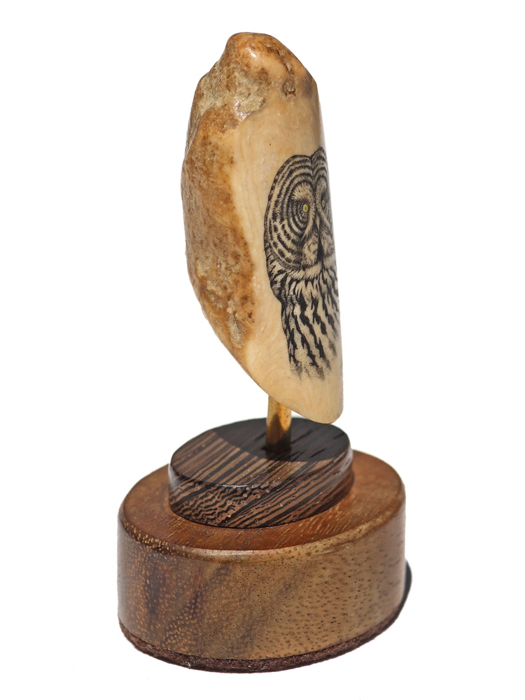 David Adams Scrimshaw - Great Grey Owl
