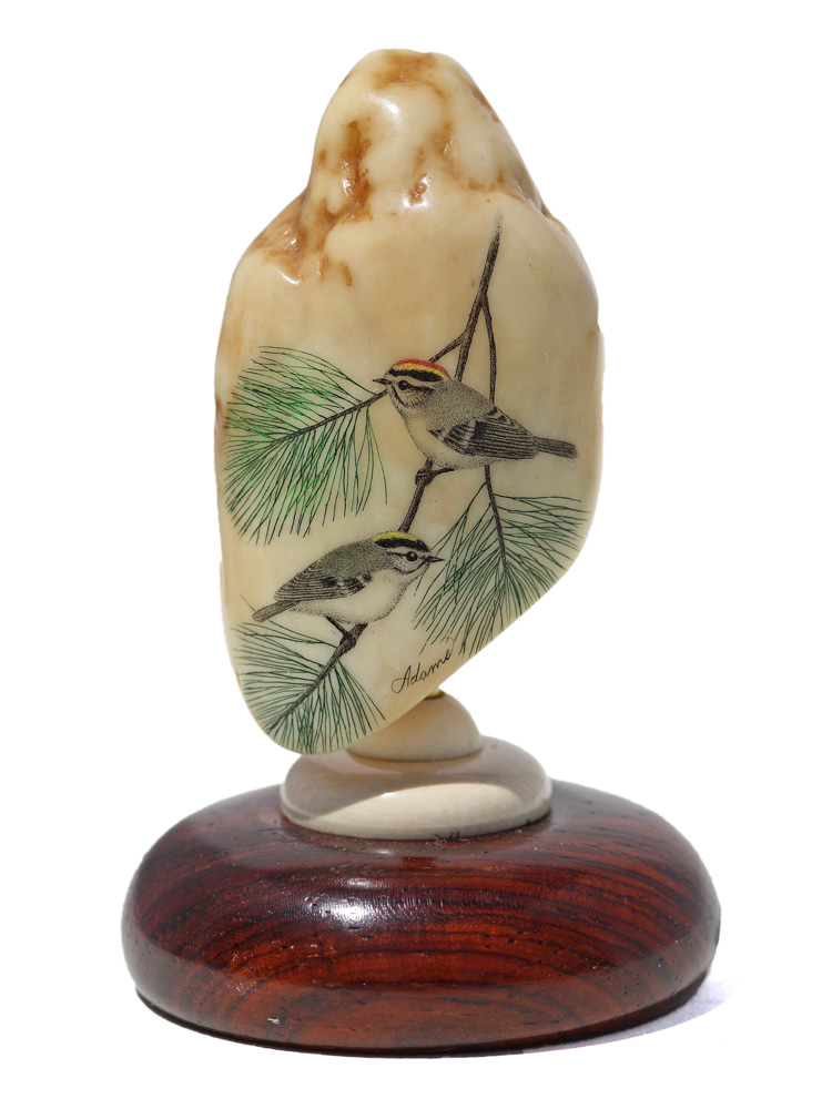 David Adams Scrimshaw - Golden Crown Kinglets