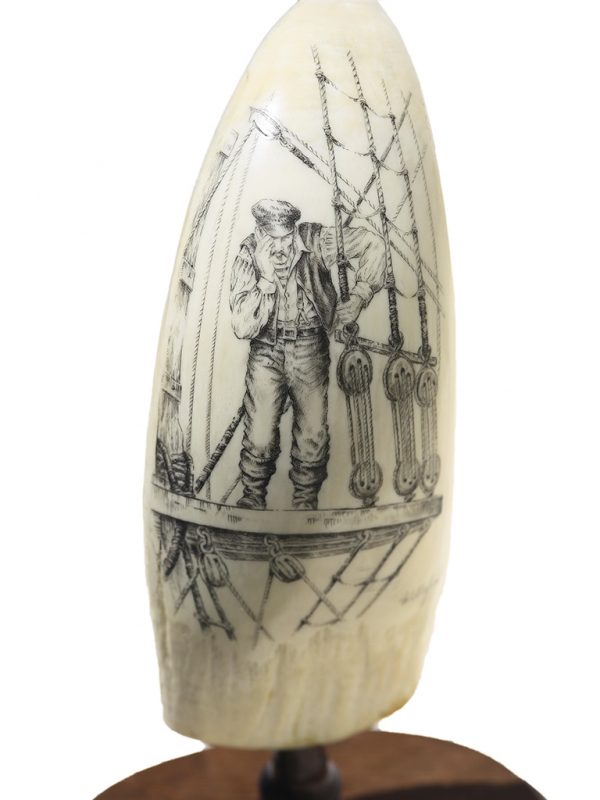 Steve Willeford Scrimshaw - Whales! Whales!