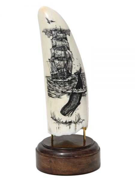 Ware Scrimshaw - Sperm Whale and Ship