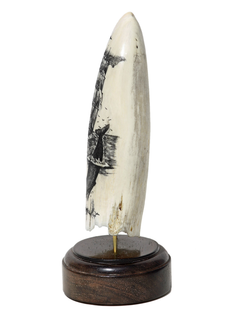 Ware Scrimshaw - Sperm Whale and Ship