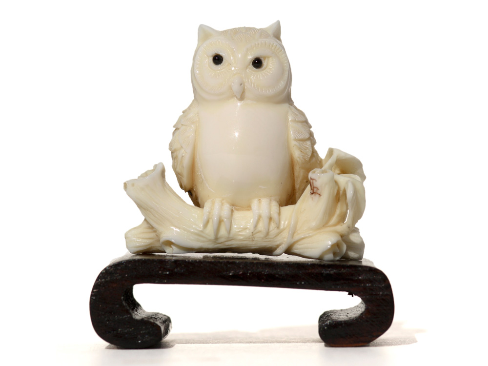 Well Fed Owl Ivory Carving