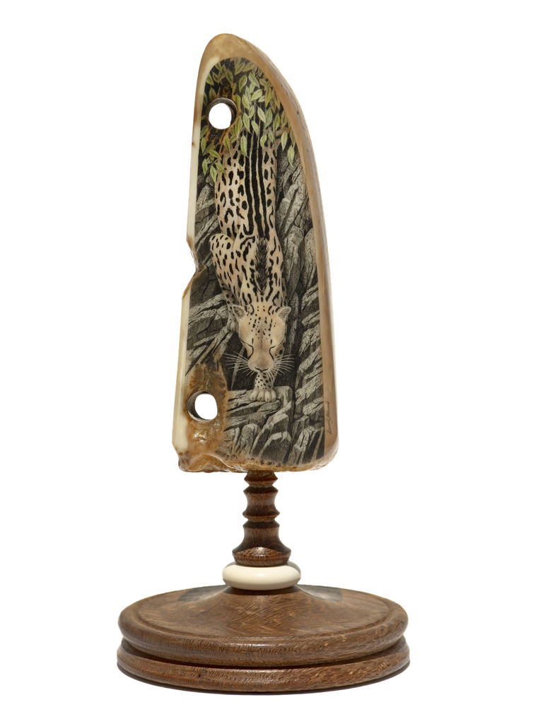 David Adams Scrimshaw - King Leopard