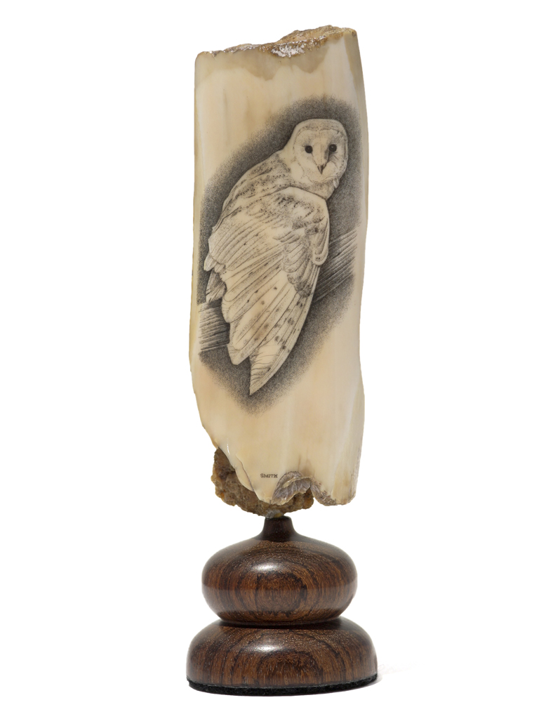 David Smith Scrimshaw - Night Owl