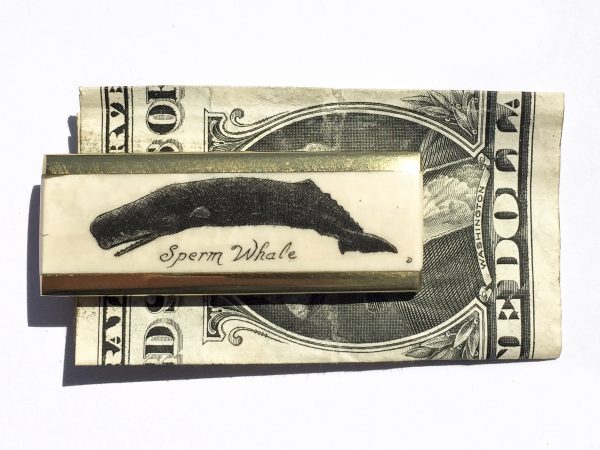 Scrimshaw Money Clip - Sperm Whale