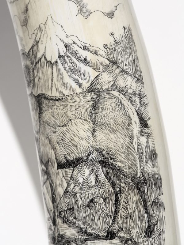 David Pudelwitts Scrimshaw - Mountain King