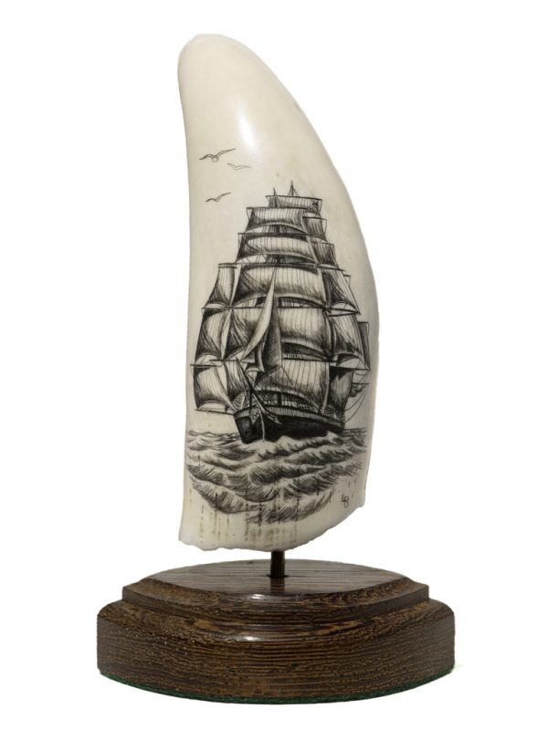 L.B. Scrimshaw - Sails Galore!