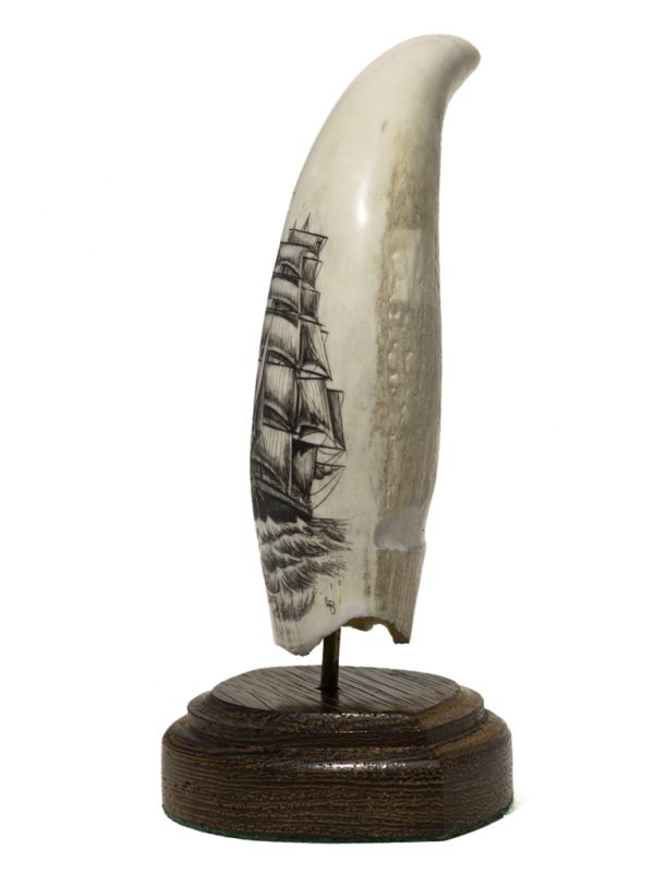 L.B. Scrimshaw - Sails Galore!