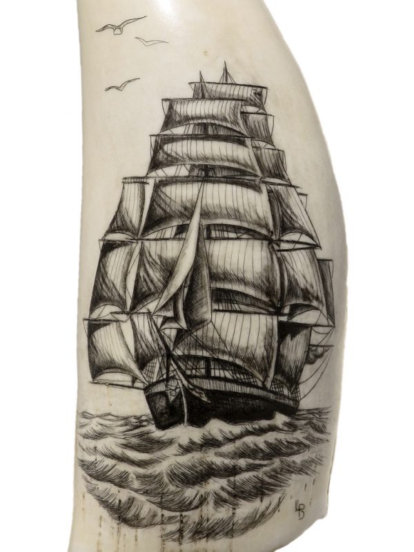 L.B. Scrimshaw - Sails Galore!