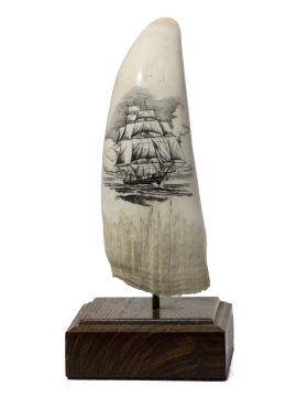 Matt Stothart Flying Scrimshaw - Cloud at Sea