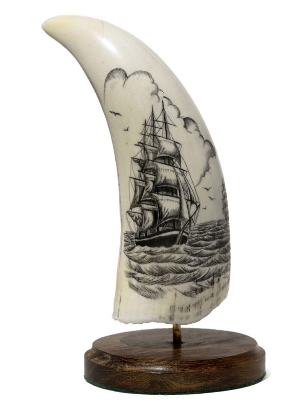 Whale's Tooth Scrimshaw - Clippers Crossing Paths