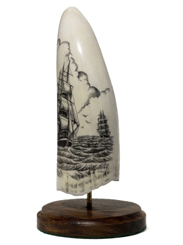 Whale's Tooth Scrimshaw - Clippers Crossing Paths