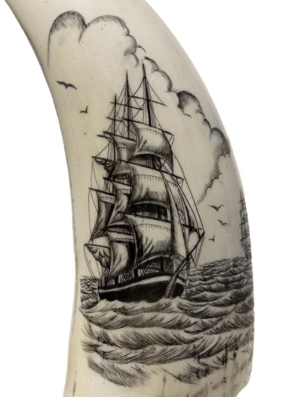 Whale's Tooth Scrimshaw - Clippers Crossing Paths