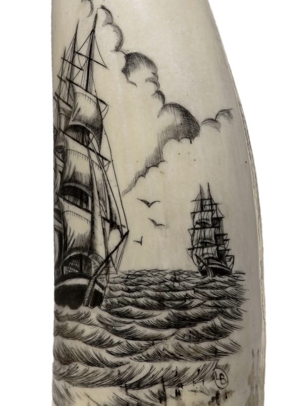 Whale's Tooth Scrimshaw - Clippers Crossing Paths