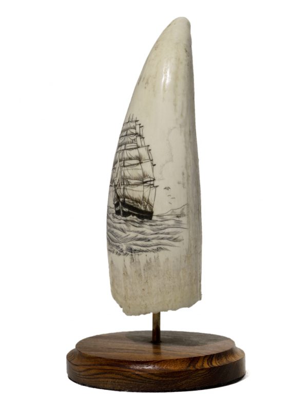 S.J. Wainwright Scrimshaw - Scrimshaw Ship