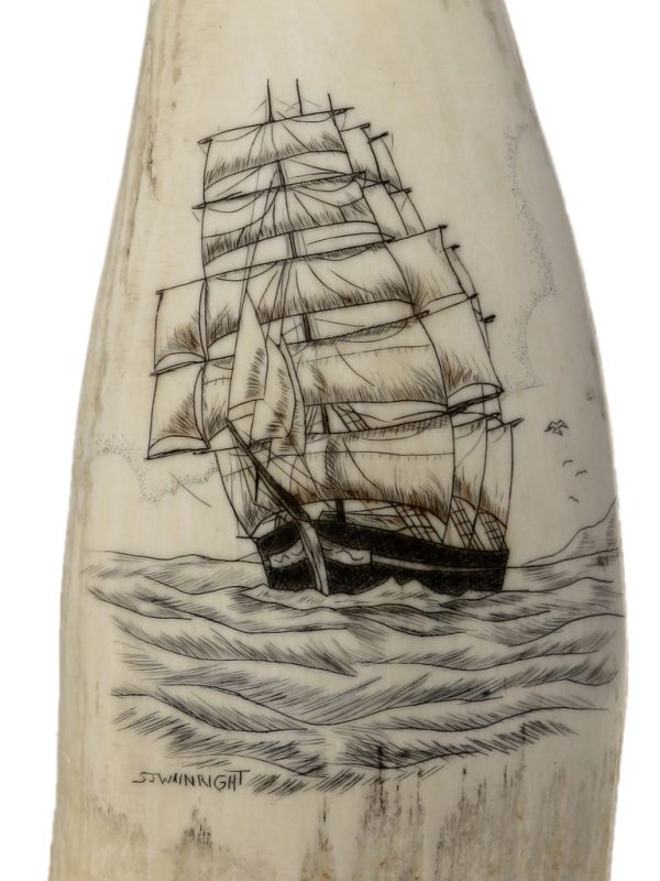 S.J. Wainwright Scrimshaw - Scrimshaw Ship