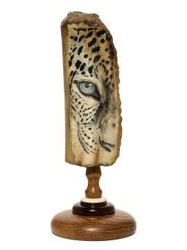 David Smith Scrimshaw - Snow Leopard Closeup