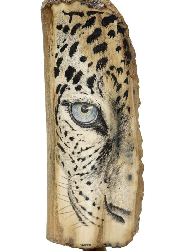 David Smith Scrimshaw - Snow Leopard Closeup