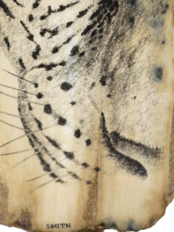 David Smith Scrimshaw - Snow Leopard Closeup