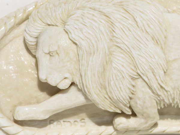 Armando Ramos Whale's Tooth Carving - Lion