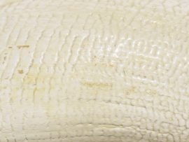 Armando Ramos Whale's Tooth Carving - Lion