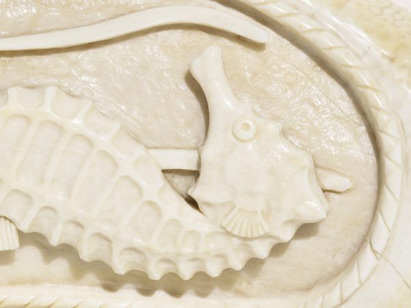 Armando Ramos Whale's Tooth Carving - Seahorse