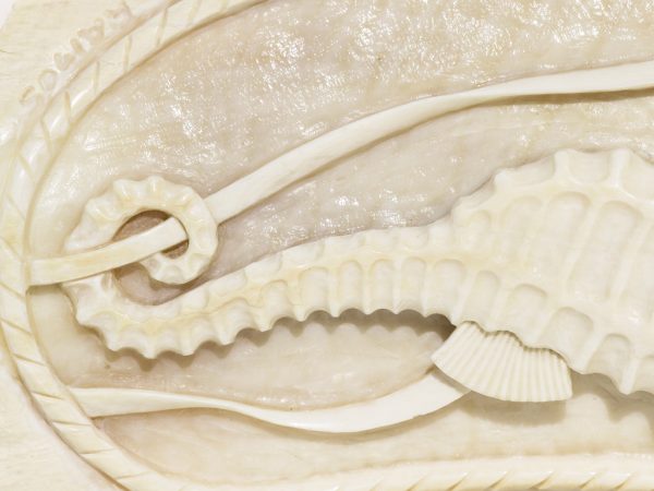 Armando Ramos Whale's Tooth Carving - Seahorse
