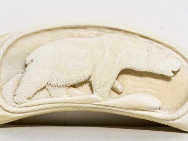 Armando Ramos Whale's Tooth Carving - Polar Bear