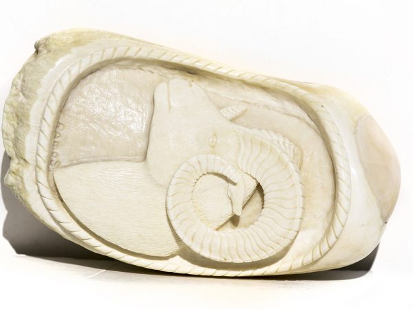 Armando Ramos Whale's Tooth Carving - Ram