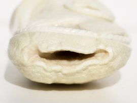 Armando Ramos Whale's Tooth Carving - Ram