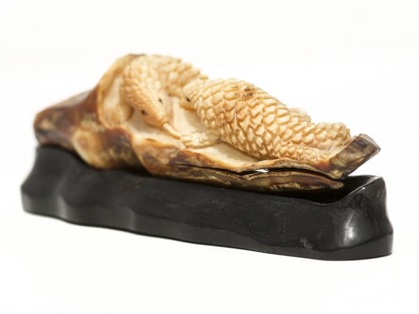 Ancient Walrus Tusk Ivory Carving - Iguanas