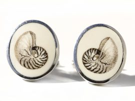 David Smith Scrimshaw - Chambered Nautilus Scrimshaw Cufflinks