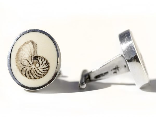 David Smith Scrimshaw - Chambered Nautilus Scrimshaw Cufflinks