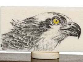 David Smith Scrimshaw - Osprey on Antique Ivory Domino
