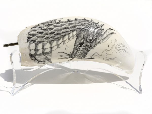David Pudelwitts Scrimshaw - Awesome Dragon