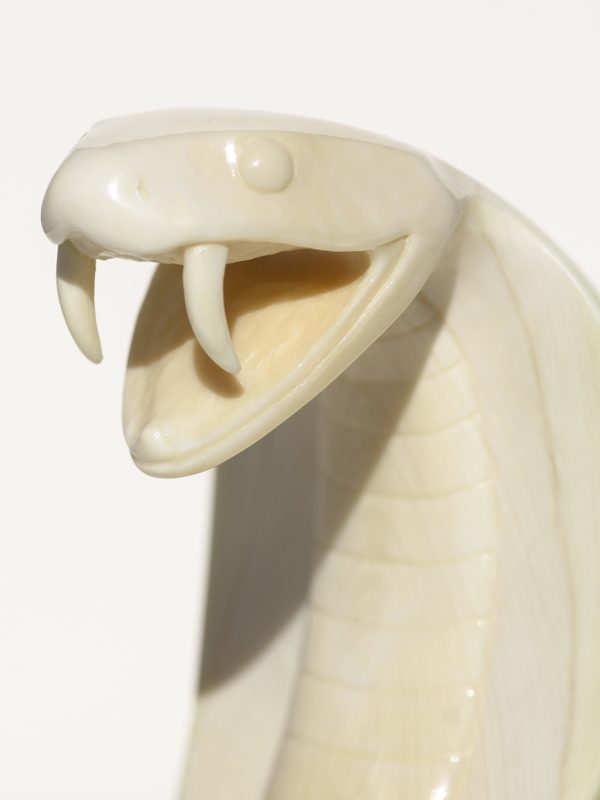 Armando Ramos Whale Tooth Carving - Deadly Cobra