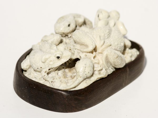 Unknown Artist - Fossil Walrus Jawbone Carving - Frogs and Tadpoles - Scrimshaw Collector