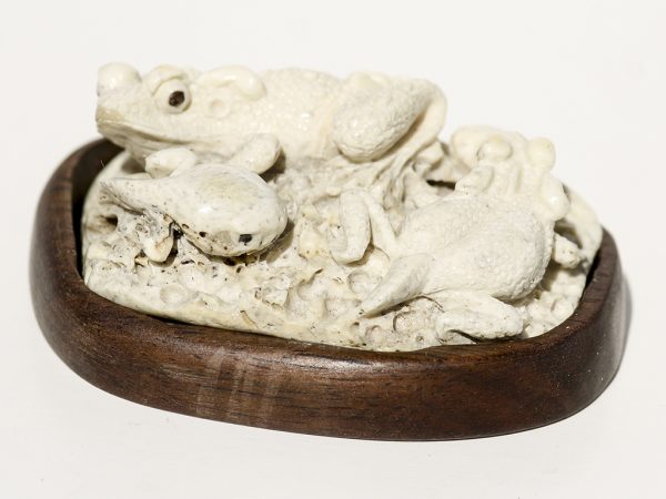 Unknown Artist - Fossil Walrus Jawbone Carving - Frogs and Tadpoles - Scrimshaw Collector