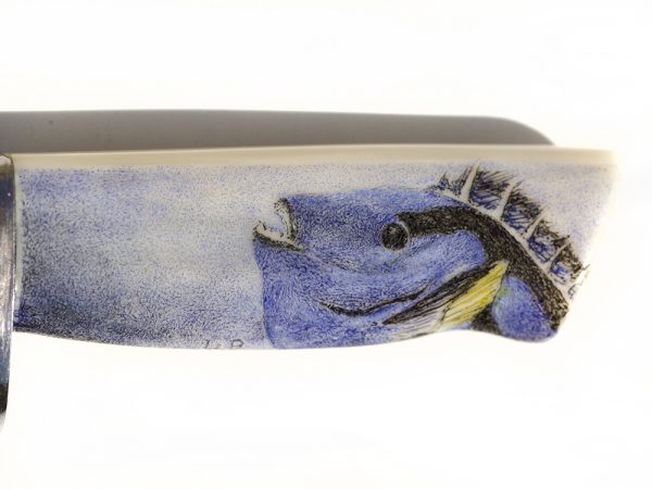 Regal Blue Tang Fish Miniature Scrimshaw Knife