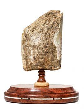 David Adams - Portrait of Johanna