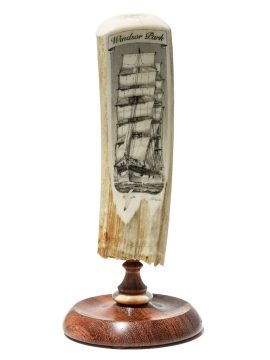 Jim Pauls Scrimshaw - Windsor Park Windjammer