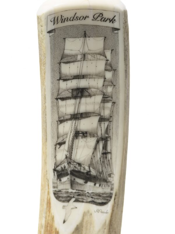 Jim Pauls Scrimshaw - Windsor Park Windjammer