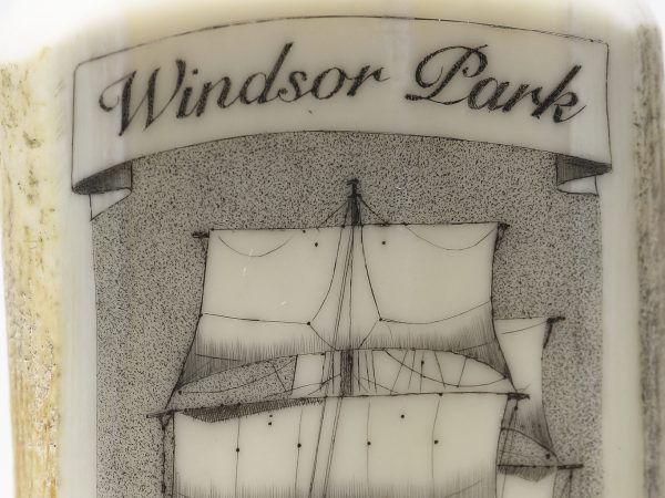 Jim Pauls Scrimshaw - Windsor Park Windjammer